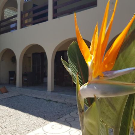 Santo Quintal Hostel Ubatuba Exterior photo
